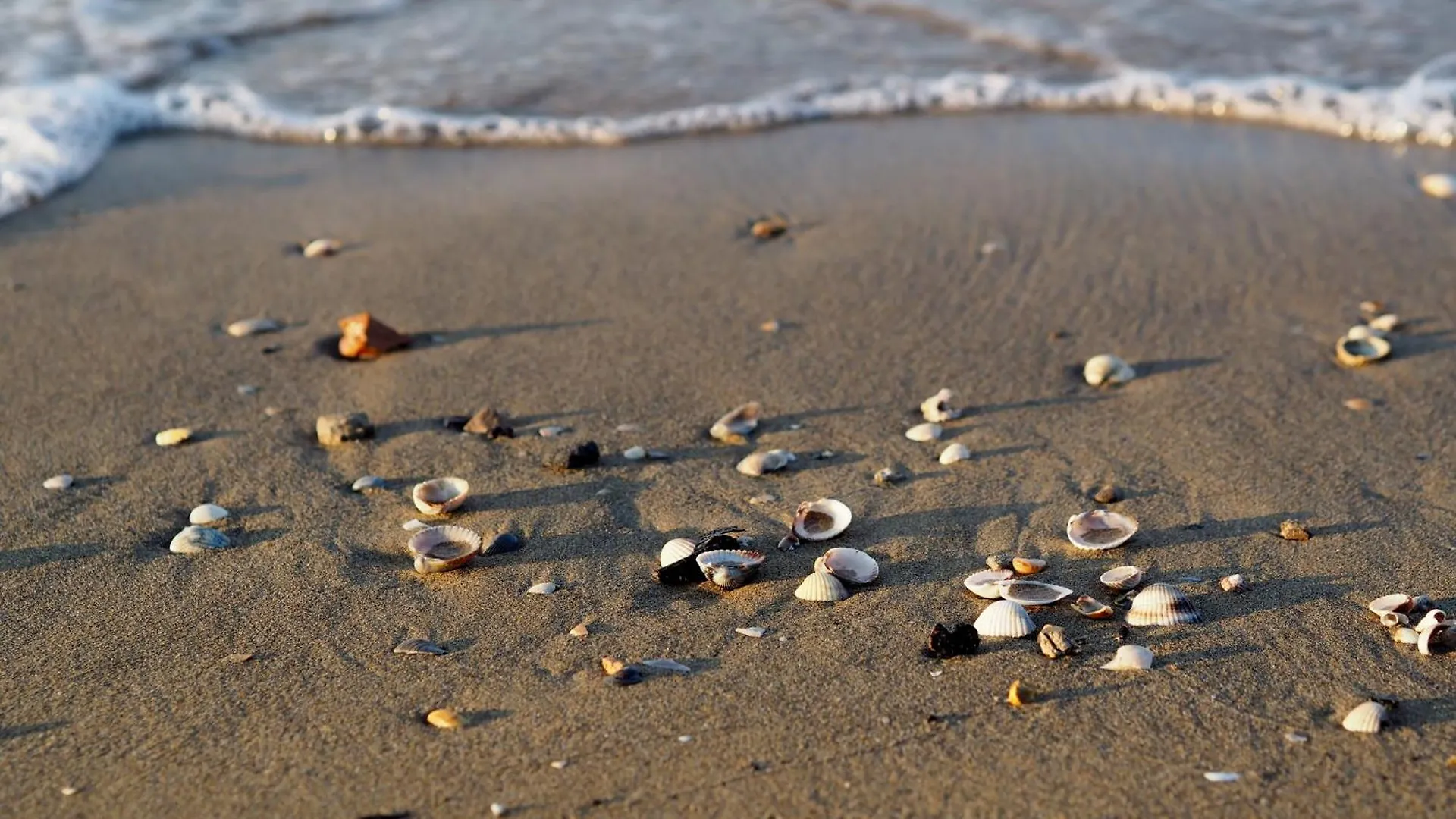 Appartamento Flat In A Great Location For 8 Guests - Beahost Bibione